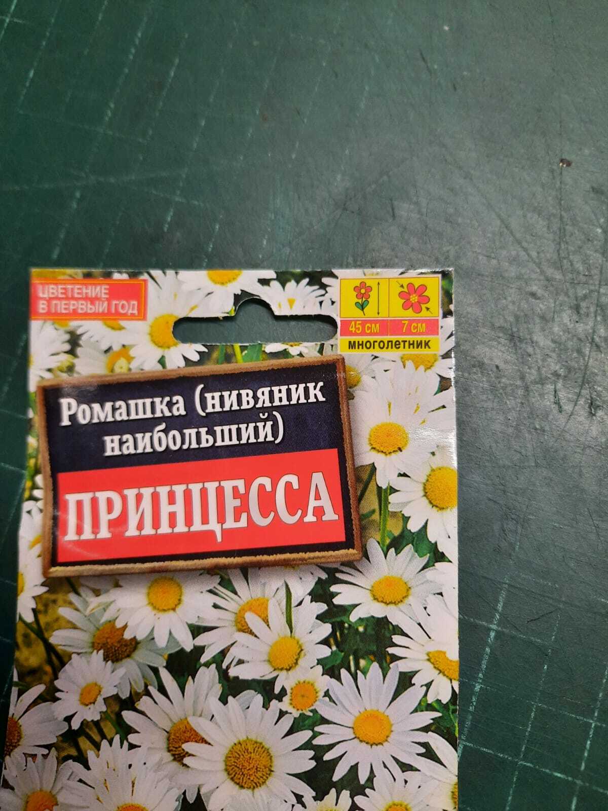 Фотография покупателя товара Семена цветов Ромашка садовая "Принцесса", 0,3 г - Фото 2