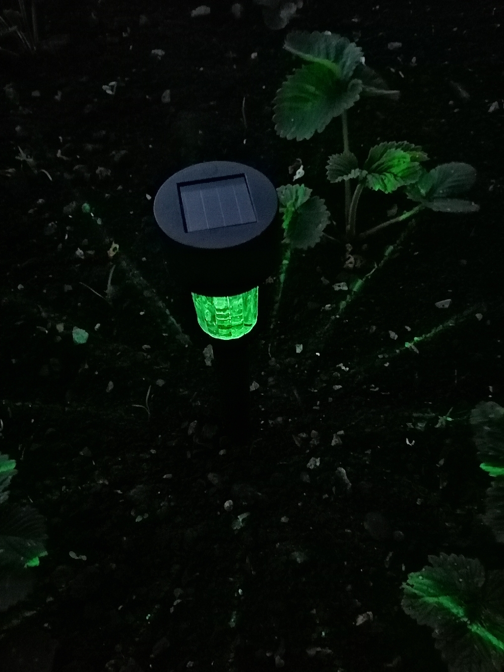 Фотография покупателя товара Садовый светильник на солнечной батарее «Цилиндр», 4.5 × 30 × 4.5 см, 1 LED, свечение мульти (RGB) - Фото 20
