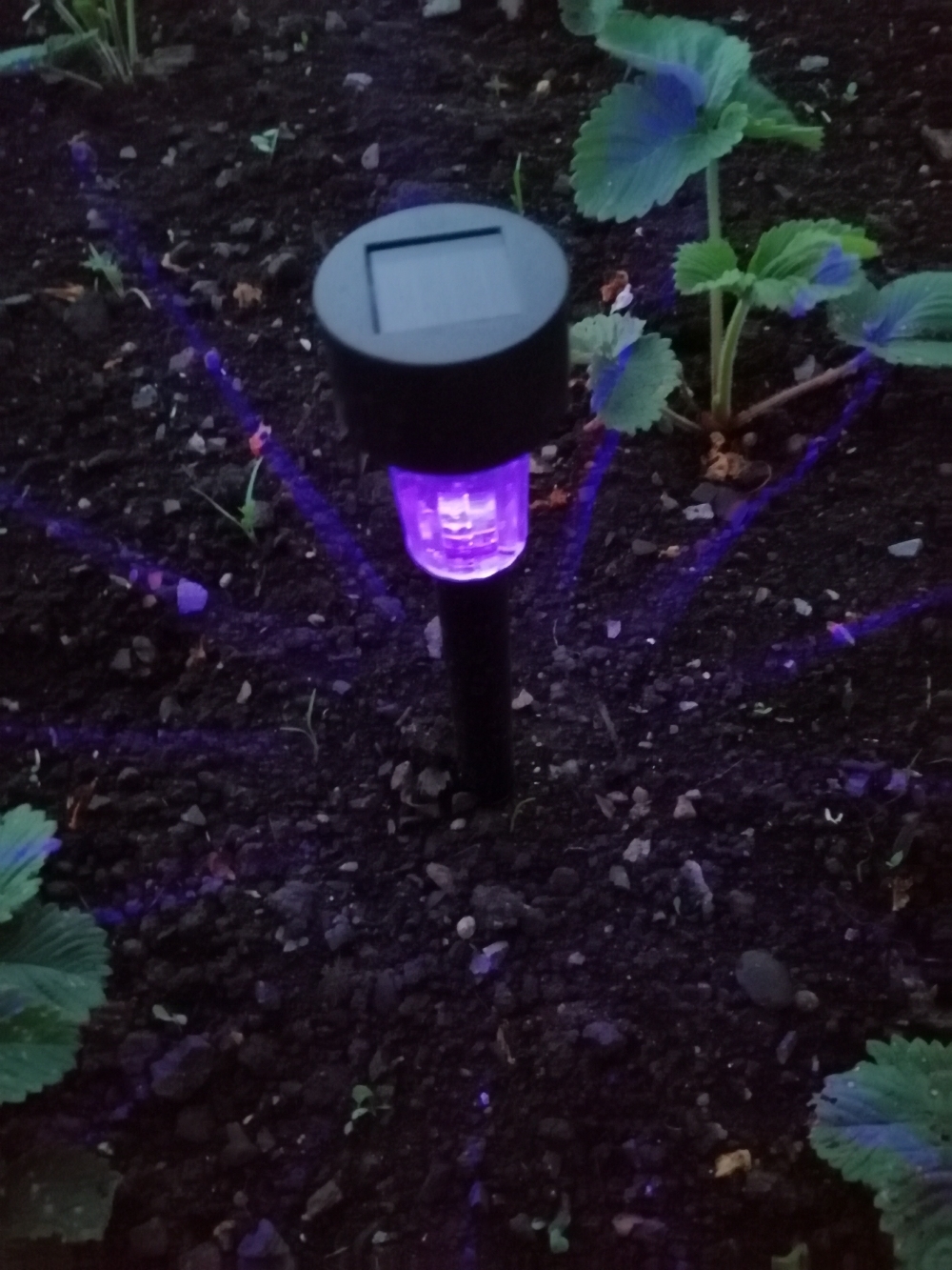 Фотография покупателя товара Садовый светильник на солнечной батарее «Цилиндр», 4.5 × 30 × 4.5 см, 1 LED, свечение мульти (RGB) - Фото 19