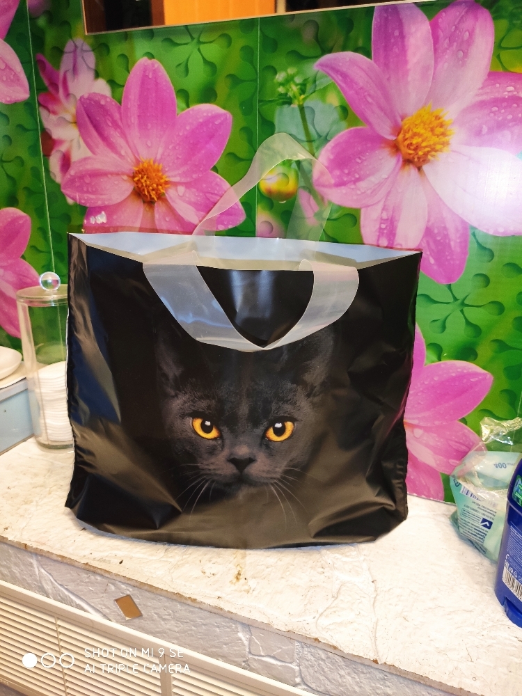 Фотография покупателя товара Пакет полиэтиленовый с петлевой ручкой «Черная кошка», 35 × 25 см - Фото 2
