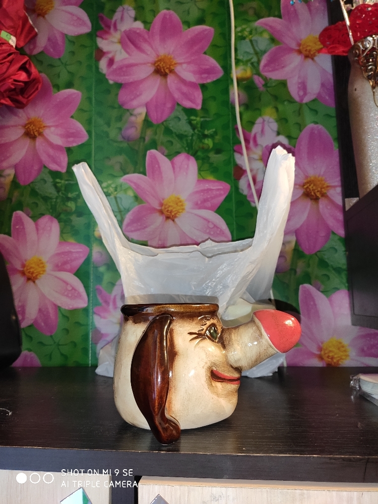 Фотография покупателя товара Пивная кружка "Ухо с носом", бежевая, керамика, 0.4 л, микс - Фото 4