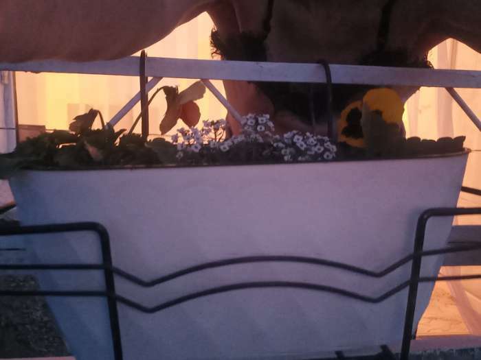 Фотография покупателя товара Кашпо для цветов со вставкой Laurel, 5 л, 35,4×15,2×15 см, цвет белый - Фото 3