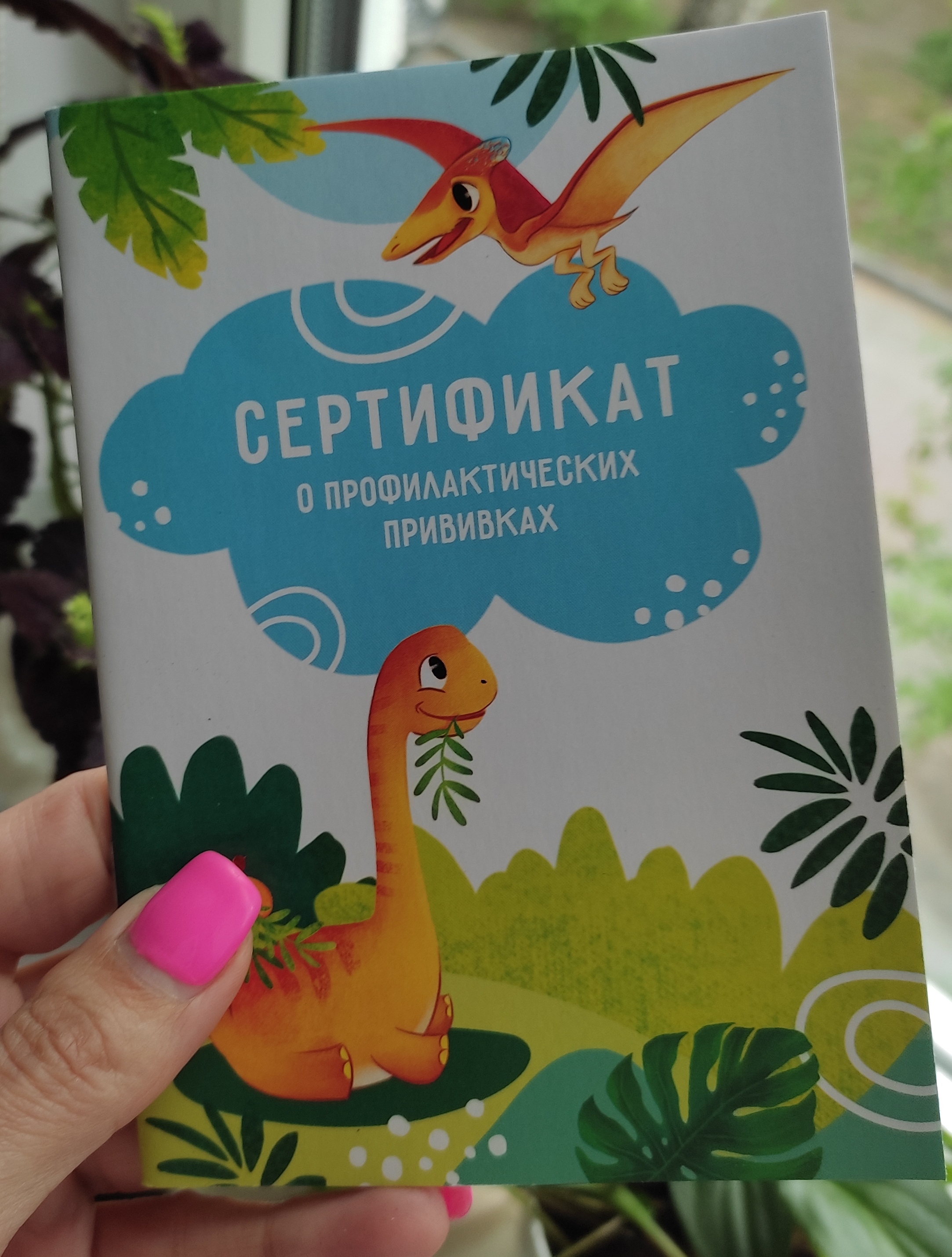 Фотография покупателя товара Сертификат о профилактических прививках А6, классика, 24 страницы - Фото 14