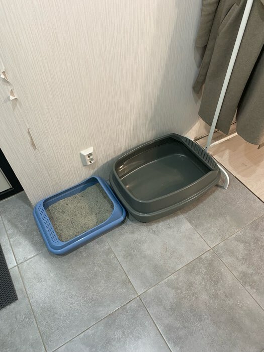Фотография покупателя товара Туалет Айша XL с бортом 64 х 44 х 21 см серый FIX - Фото 8