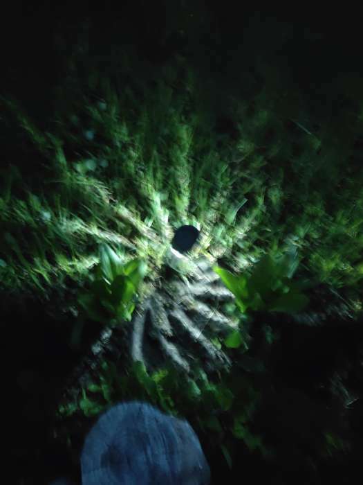 Фотография покупателя товара Садовый светильник на солнечной батарее «Трапеция», 4.5 × 30 × 4.5 см, 1 LED, свечение белое - Фото 22