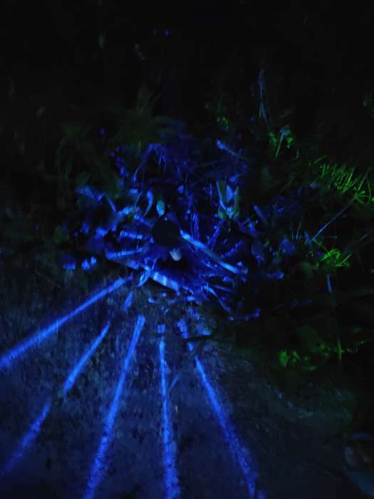 Фотография покупателя товара Садовый светильник на солнечной батарее «Трапеция», 4.5 × 30 × 4.5 см, 1 LED, свечение мульти (RGB) - Фото 1