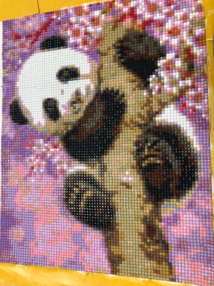 Фотография покупателя товара Алмазная мозаика «Весёлая панда», 21 цвет