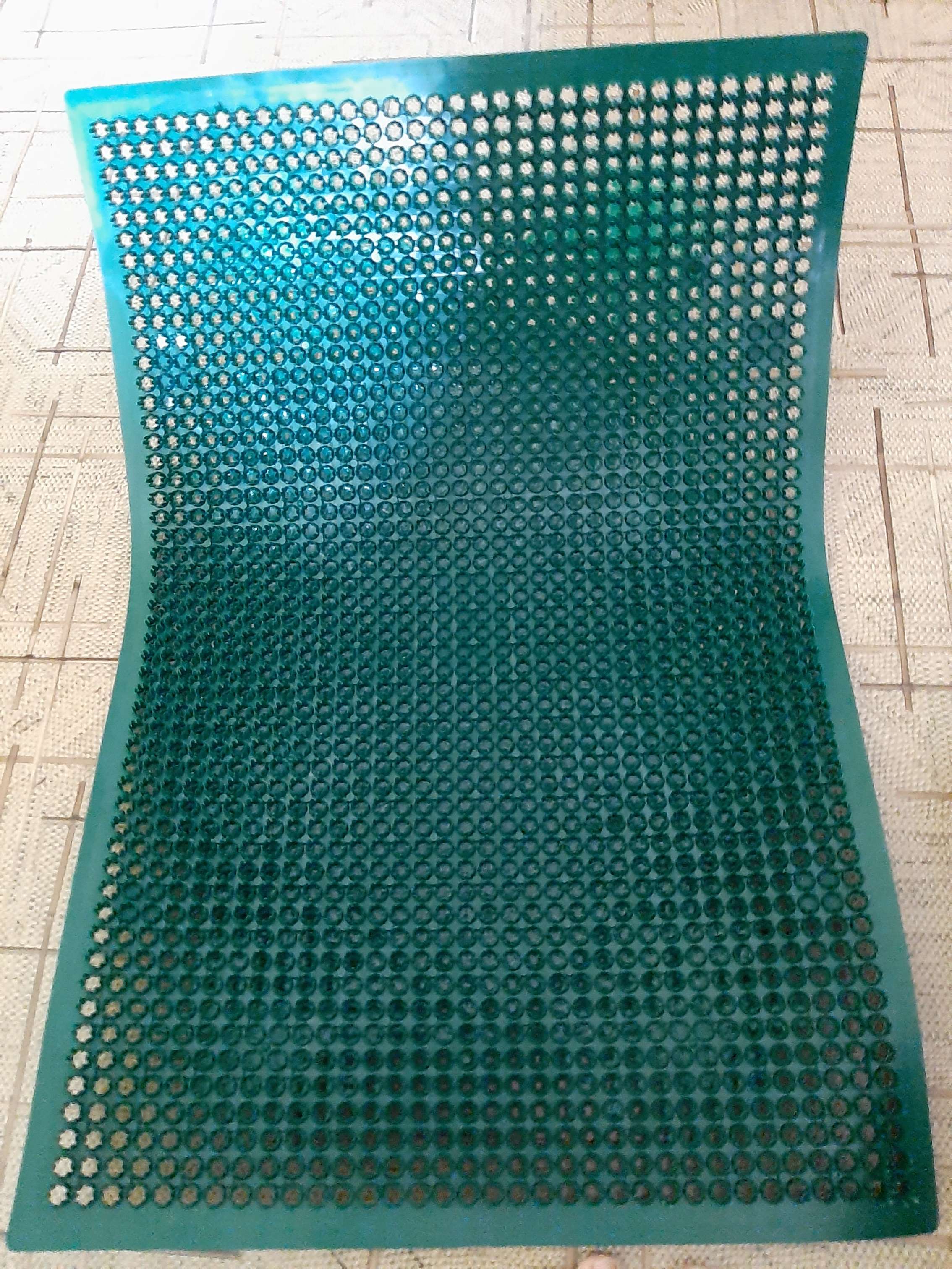Фотография покупателя товара Покрытие ковровое щетинистое «Травка», 39×59 см, цвет тёмно-зелёный - Фото 9