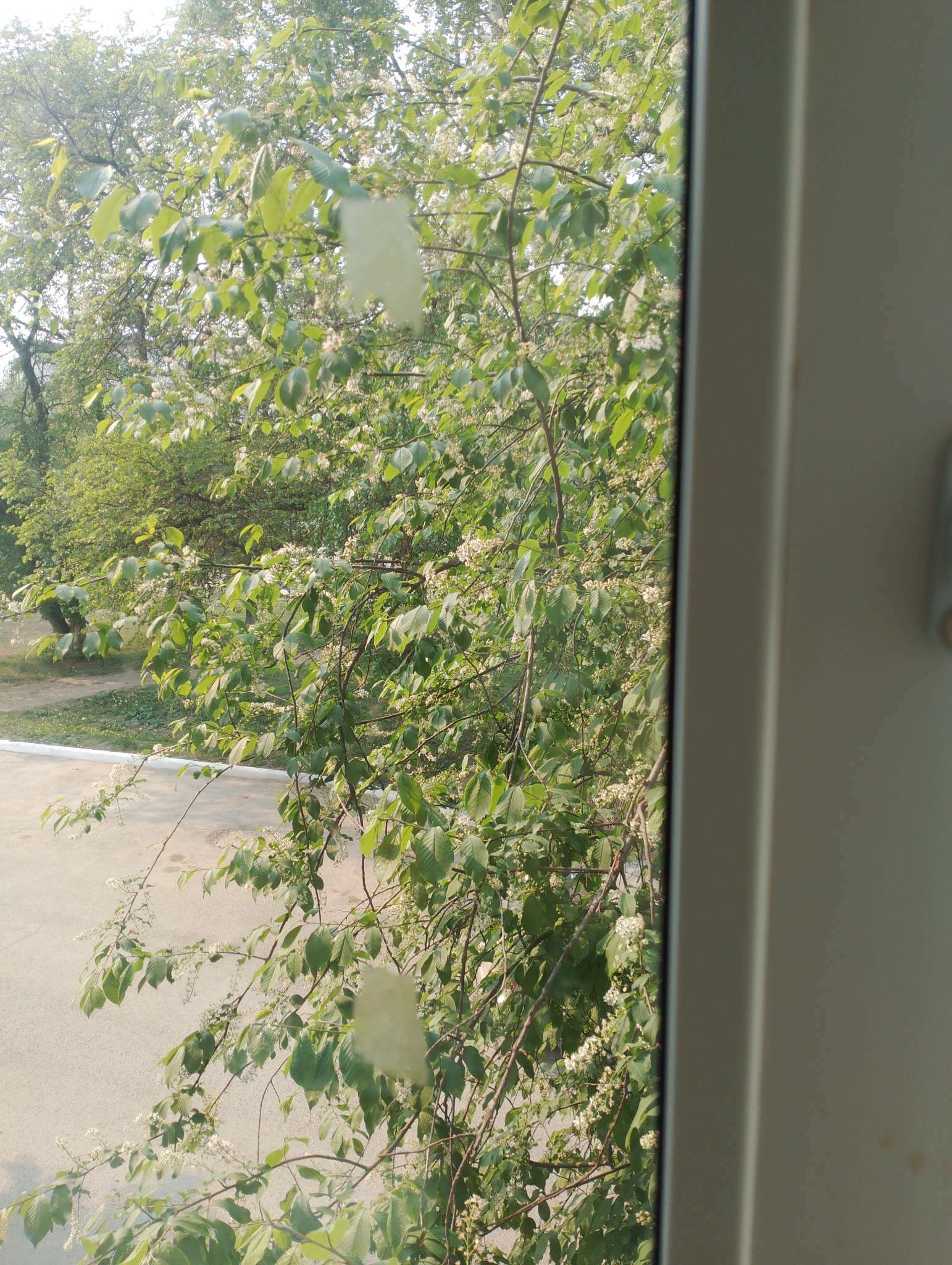 Фотография покупателя товара Термометр, градусник уличный, на окно, на липучке, от -50°С до +50°С, 21 х 6.5 см - Фото 26