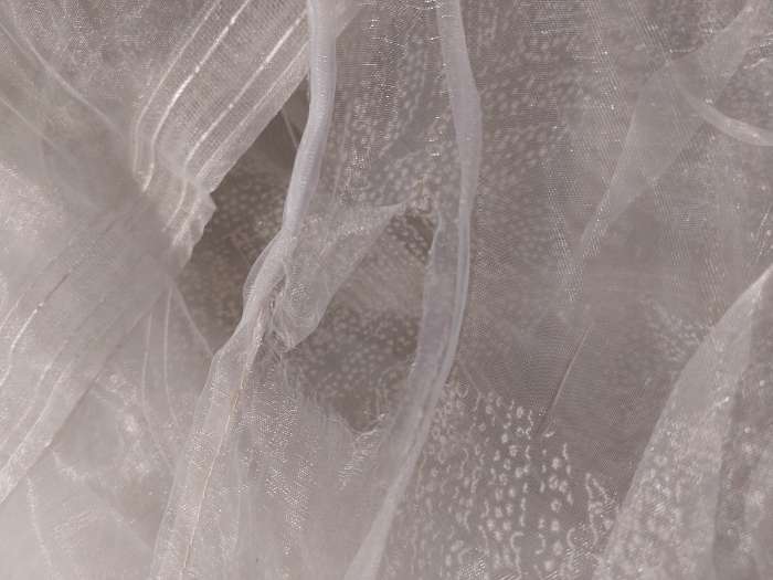 Фотография покупателя товара Штора органза Leaves 300х280 см, белый, на шторной ленте, 100% полиэстер