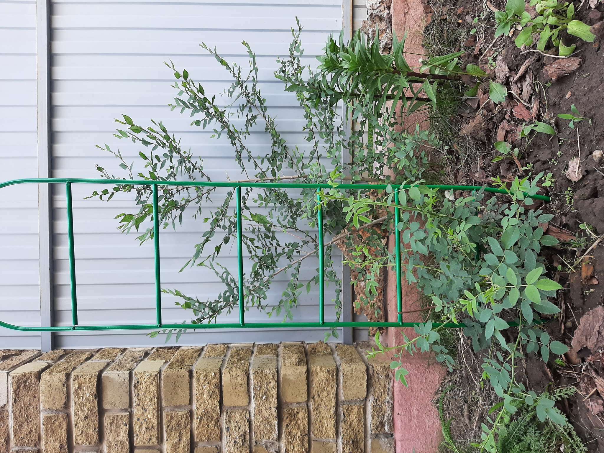 Фотография покупателя товара Шпалера, 140 × 30 × 1 см, металл, зелёная, «Лестница» - Фото 1