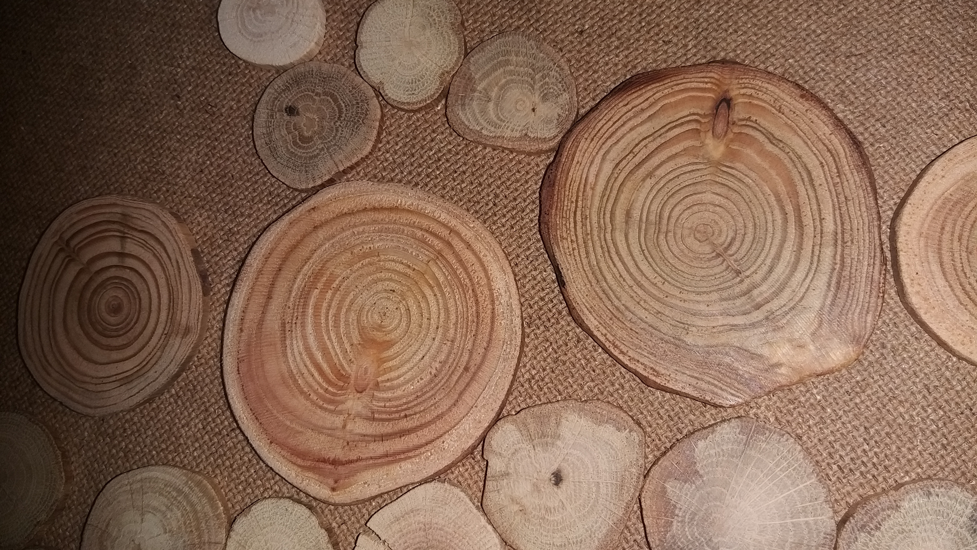 Фотография покупателя товара Спил дерева "Лиственницы", круглый, d=4-7 см, h=5 мм - Фото 1