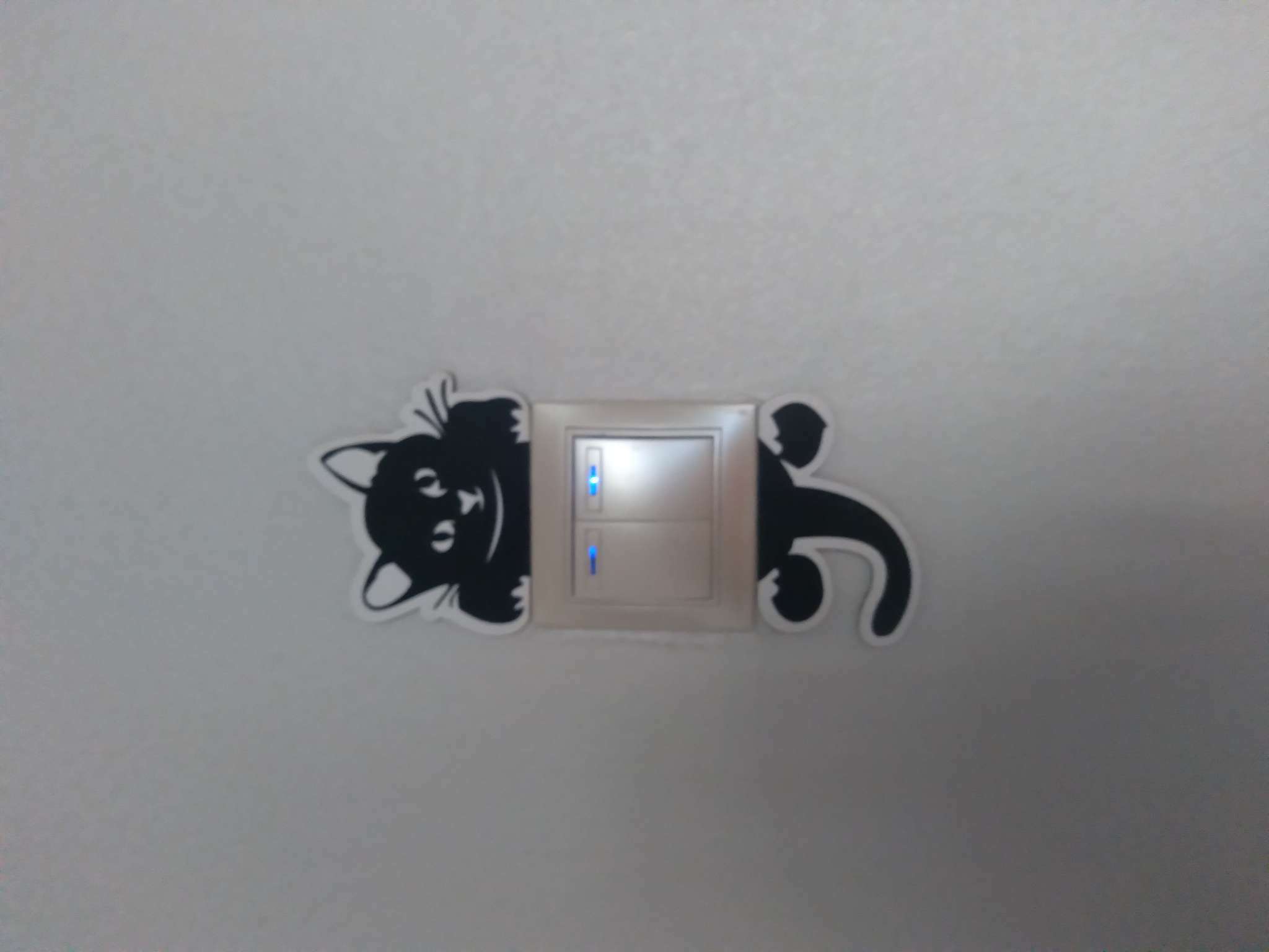 Фотография покупателя товара Декор настенный, наклейка на выключатель "Кот", 14 х 10 см - Фото 10