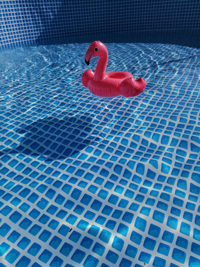 Фотография покупателя товара Набор держателей для напитков плавающий «Фламинго», 20 х 25 см, от 2 лет, 3 шт., 57500NP INTEX - Фото 5