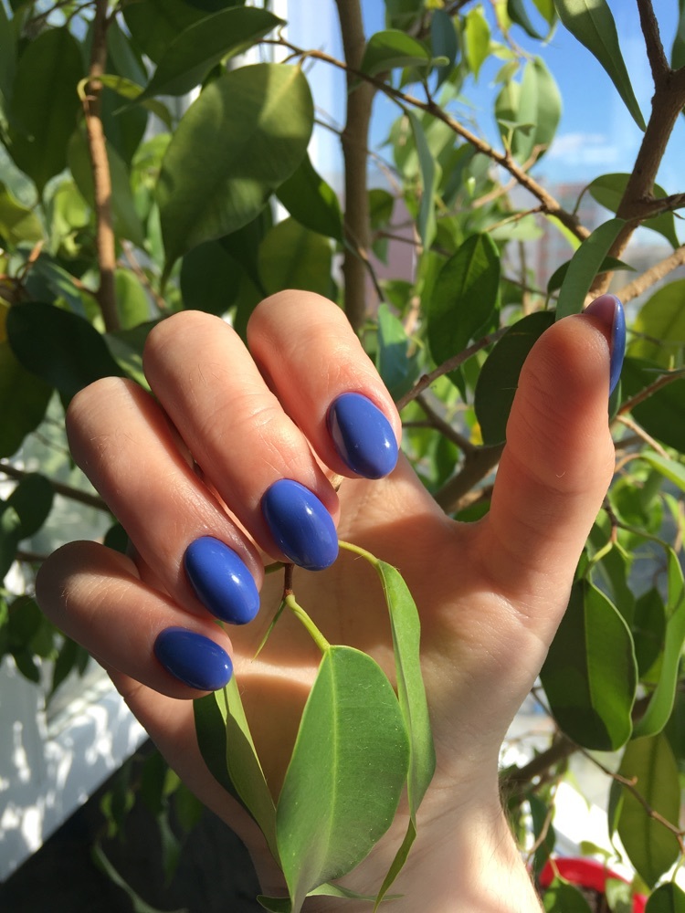 Фотография покупателя товара Гель-лак для ногтей, 216-023-7, однофазный, LED/UV, 10мл, цвет 216-023-7 синий пудровый - Фото 3