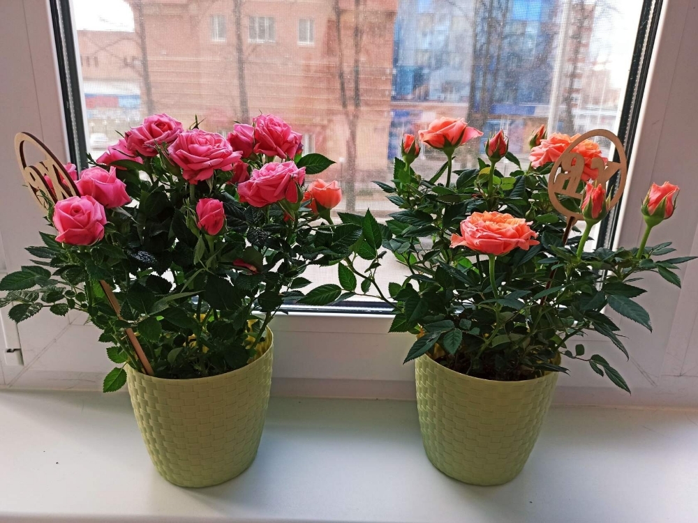 Фотография покупателя товара Горшок для цветов с поддоном «Ротанг», 2 л, цвет графит - Фото 32
