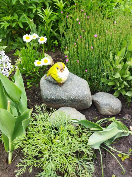 Фотография покупателя товара Садовая фигура из полистоуна «Чижик», 12×11×11 см - Фото 4