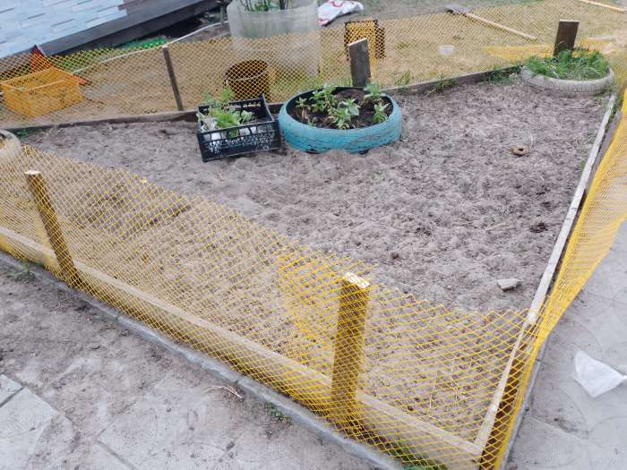 Фотография покупателя товара Сетка садовая, 1 × 20 м, ячейка ромб 15 × 15 мм, пластиковая, зелёная, Greengo - Фото 1