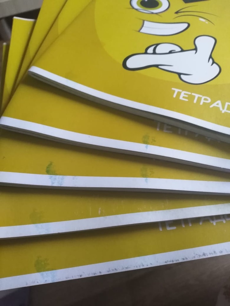 Фотография покупателя товара Тетрадь 48 листов в клетку Calligrata "Смайлики-2", обложка мелованный картон, блок офсет, МИКС - Фото 7