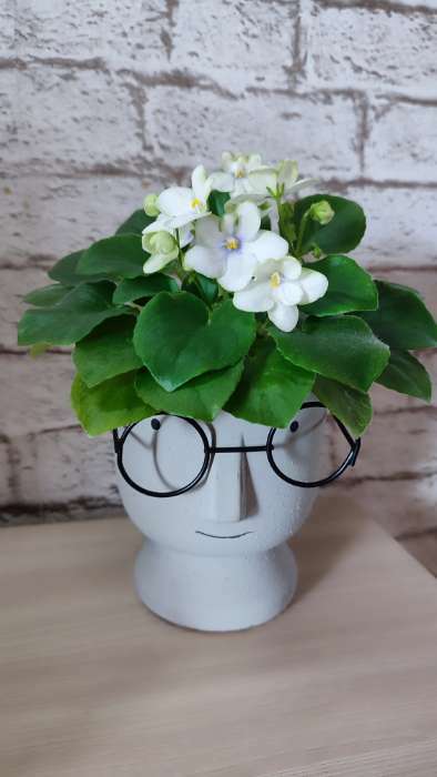 Фотография покупателя товара Декоративный горшок для цветов «Который выжил», 550, мл, 12×10×10 см, керамический, серый - Фото 2