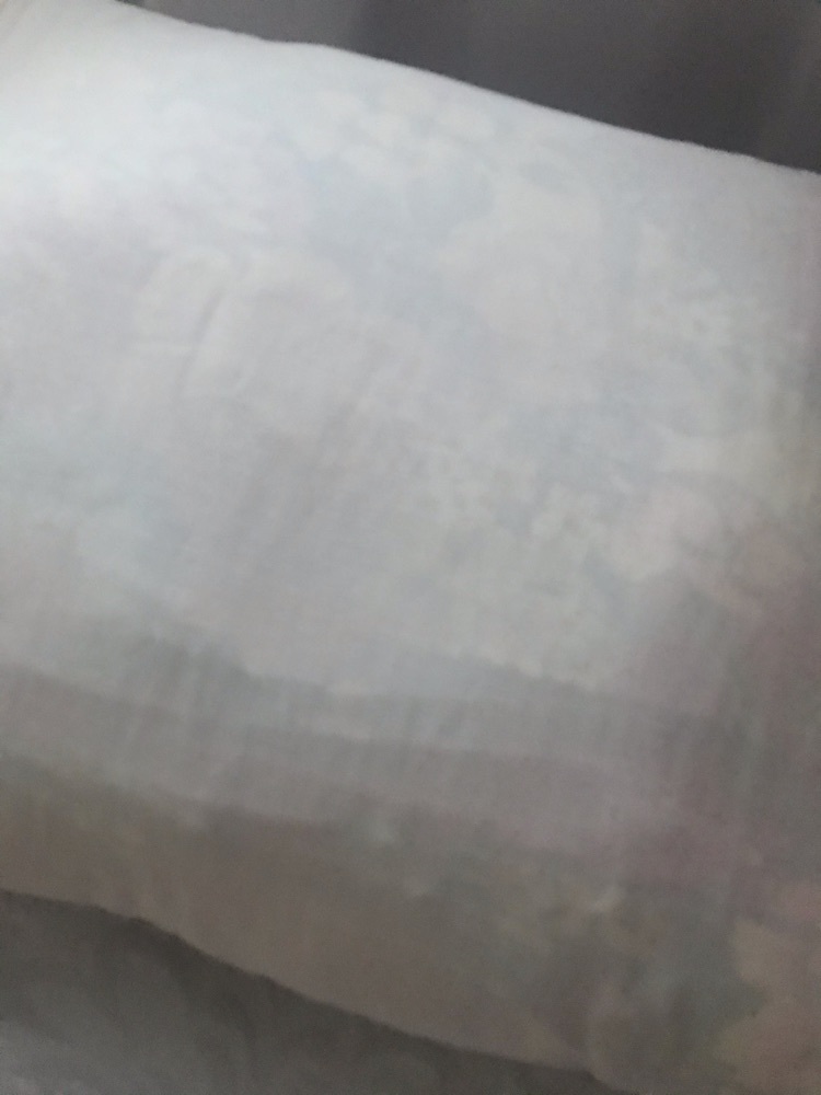 Фотография покупателя товара Постельное бельё "Этель" Евро Летнее утро, размер 200х217 см, 240*220 см, 50х70 см - 2 шт - Фото 1