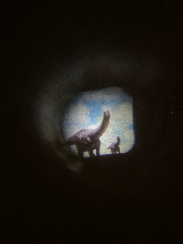 Фотография покупателя товара Проектор-фонарик «Эра динозавров», свет, цвета МИКС