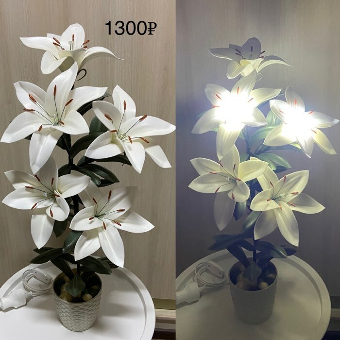 Фотография покупателя товара Лампа светодиодная Luazon Lighting G4, 220 В, 3 Вт, 225 Лм, 6500 K, 320°, силикон - Фото 4