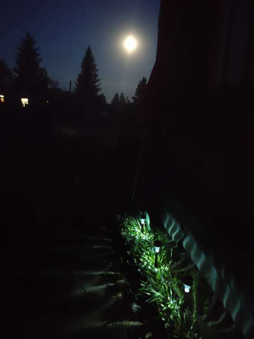 Фотография покупателя товара Садовый светильник на солнечной батарее «Трапеция», 4.5 × 30 × 4.5 см, 1 LED, свечение белое - Фото 20
