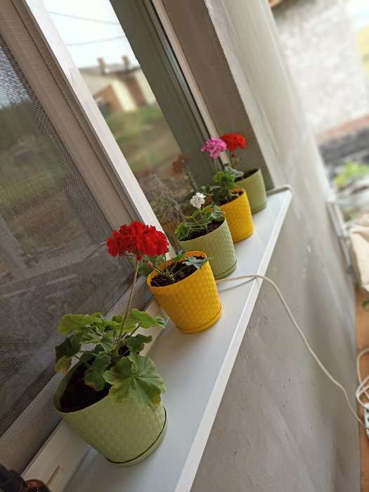 Фотография покупателя товара Горшок для цветов с поддоном «Ротанг», 1,2 л, цвет белый - Фото 2