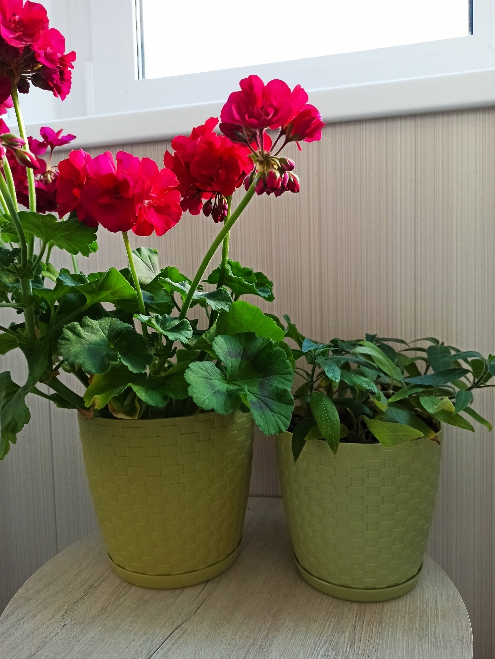Фотография покупателя товара Горшок для цветов с поддоном «Ротанг», 3 л, цвет оливковый - Фото 1