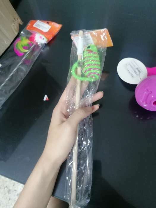 Фотография покупателя товара Дразнилка-удочка с блестящей мышью на деревянной ручке, зелёная