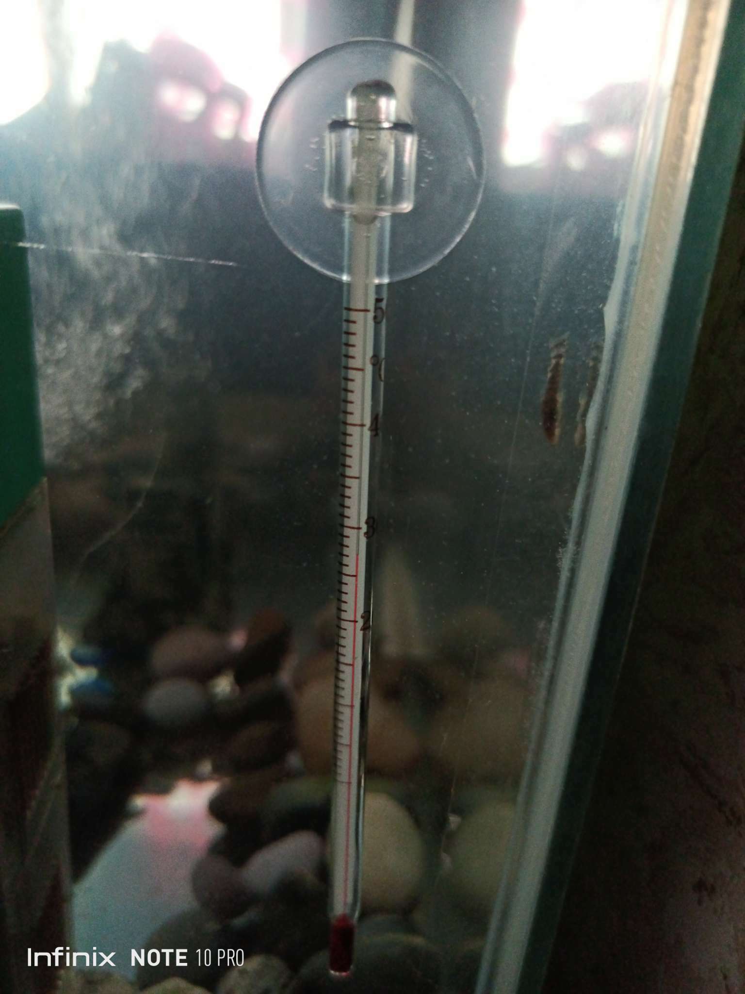 Фотография покупателя товара Термометр аквариумный на присоске длинный, 15 см - Фото 3