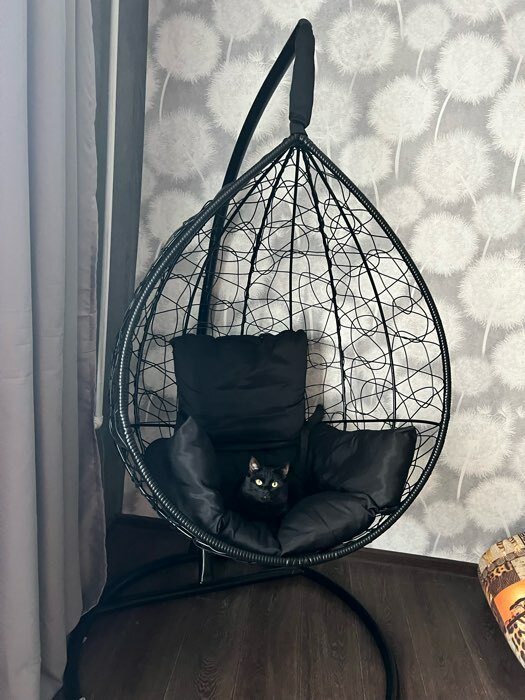Фотография покупателя товара Подвесное кресло SEVILLA черное, черная подушка, стройка - Фото 5