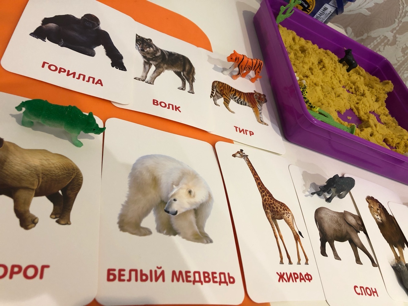 Фотография покупателя товара Развивающий набор фигурок для детей «Дикие животные» с карточками, по методике Домана - Фото 6