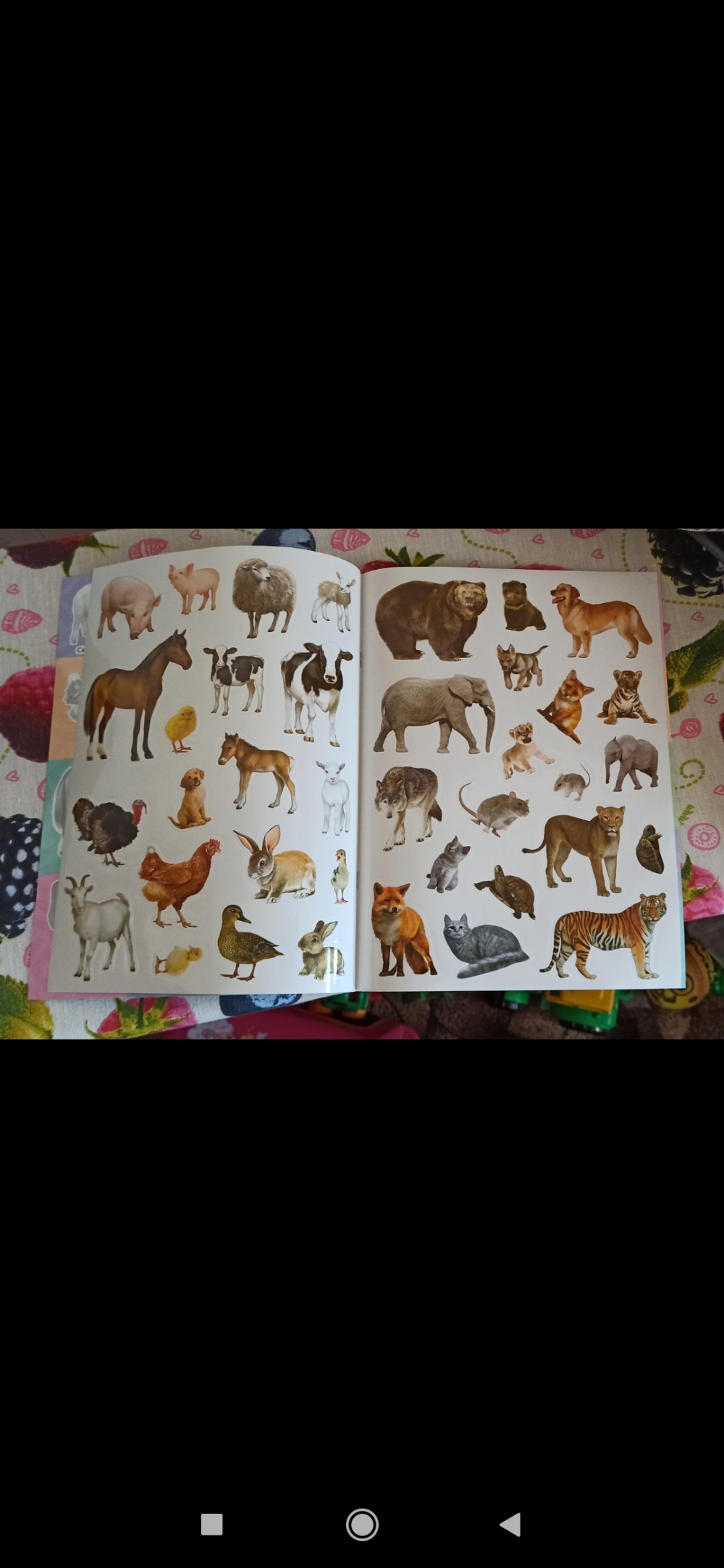 Фотография покупателя товара Многоразовые наклейки набор «Такие разные животные», А4, 2 шт. - Фото 6