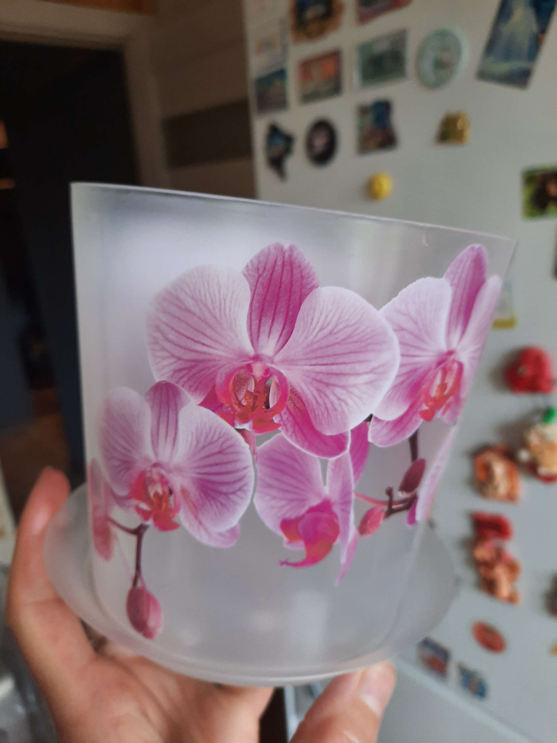 Фотография покупателя товара Горшок для орхидей с поддоном «Деко», 1,2 л - Фото 4