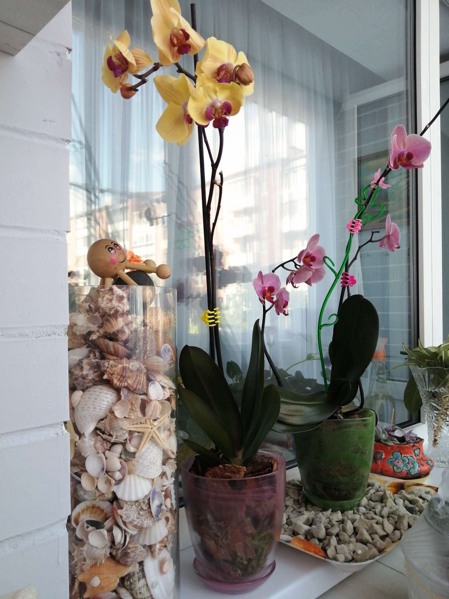 Фотография покупателя товара Горшок цветочный с поддоном "Гармония", розовый 1 л