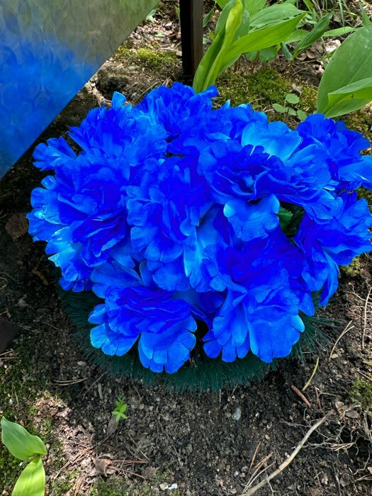 Фотография покупателя товара Цветы искусственные "Глоксиния соната" d-11 см h-20 см, голубой