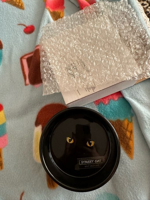 Фотография покупателя товара Миска керамическая "Черный кот" 300 мл  12,5 х 4,5 см, черно-оранжевая - Фото 1