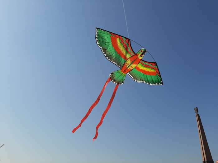 Фотография покупателя товара Воздушный змей «Птица», с леской, цвета МИКС