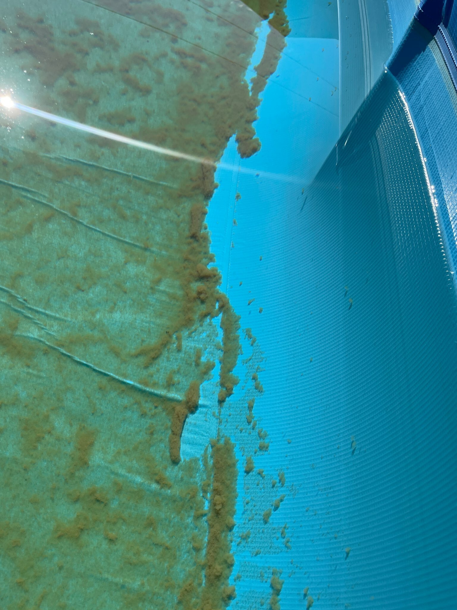 Фотография покупателя товара Жидкий коагулянт осветлитель воды ЭКВИТАЛЛ 1 литр - Фото 2