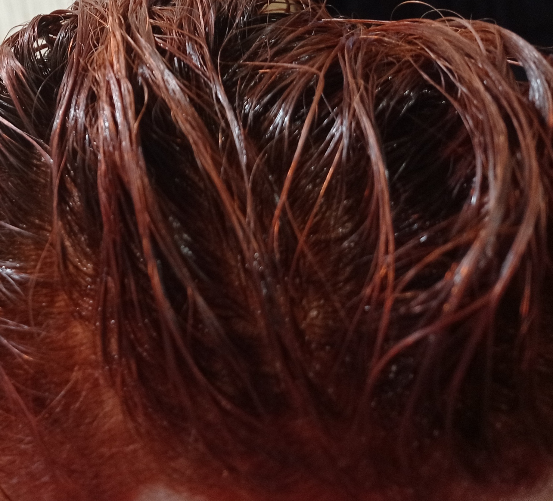Фотография покупателя товара Краска для волос кератиновая Only Bio Color медно-рыжий, 50 мл - Фото 2