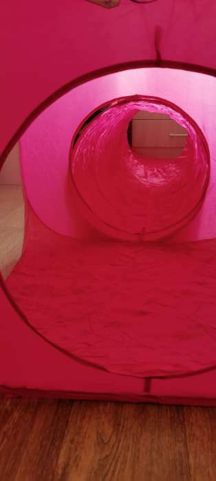 Фотография покупателя товара Палатка детская игровая с туннелем "Милашка" Коты аристократы - Фото 4