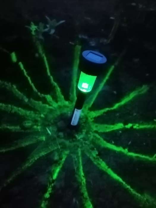 Фотография покупателя товара Садовый светильник на солнечной батарее «Цилиндр», 4.5 × 30 × 4.5 см, 1 LED, свечение мульти (RGB) - Фото 37