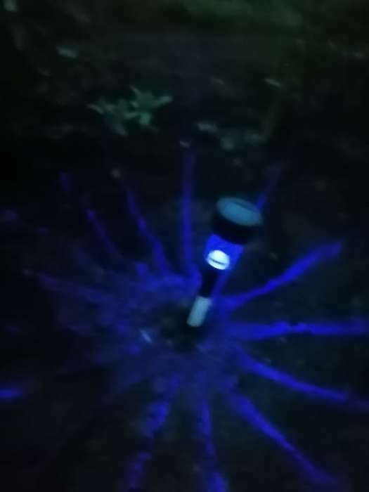 Фотография покупателя товара Садовый светильник на солнечной батарее «Цилиндр», 4.5 × 30 × 4.5 см, 1 LED, свечение мульти (RGB) - Фото 38