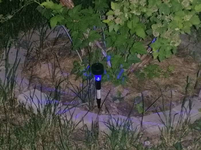 Фотография покупателя товара Садовый светильник на солнечной батарее «Цилиндр», 4.5 × 30 × 4.5 см, 1 LED, свечение мульти (RGB) - Фото 40