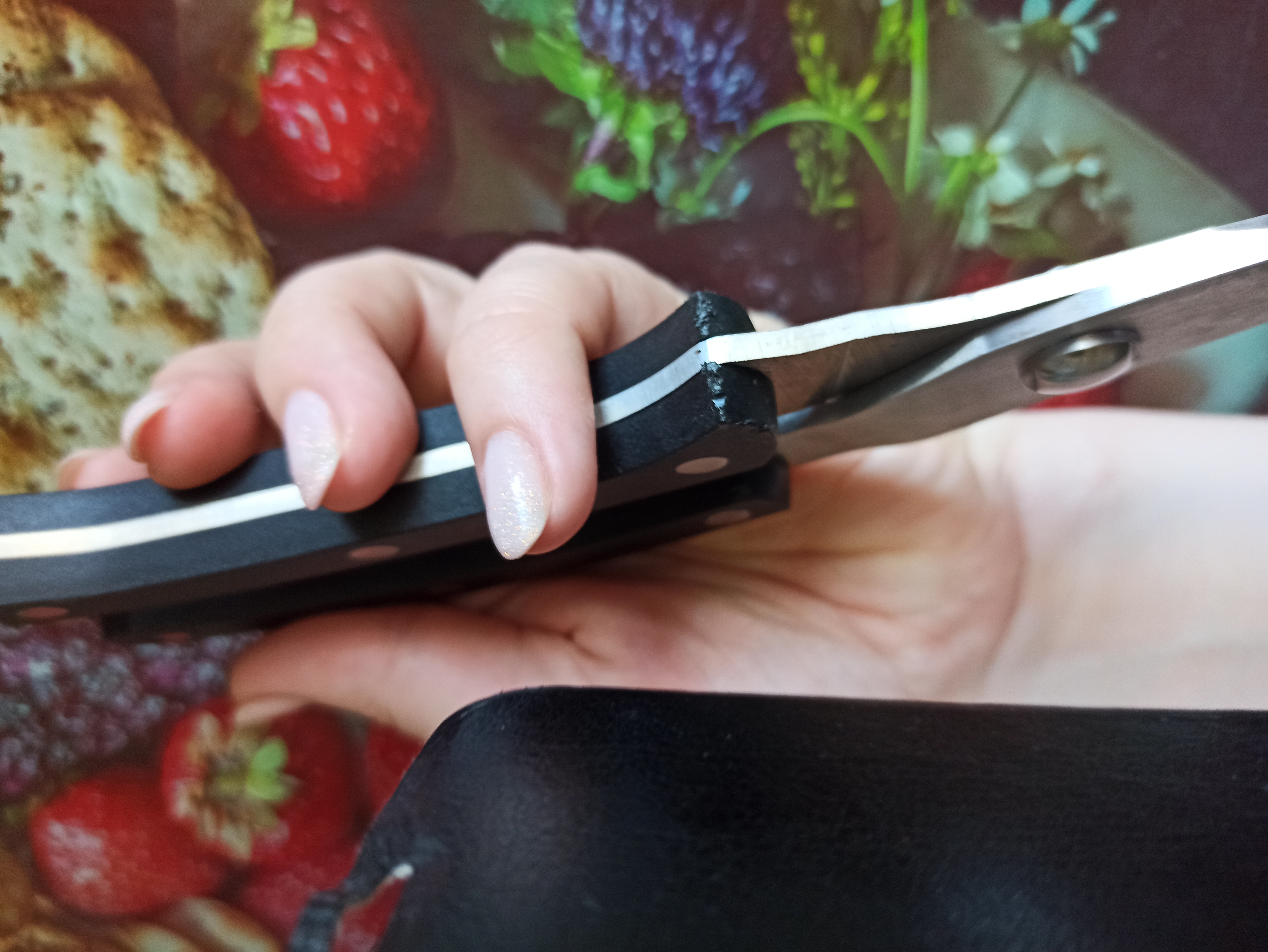 Фотография покупателя товара Ножницы кухонные Доляна «Профи», 25×4×1,5 см, цвет чёрный