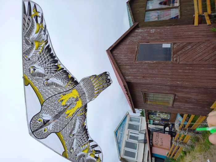 Фотография покупателя товара Воздушный змей «Птица», с леской, цвета МИКС - Фото 1