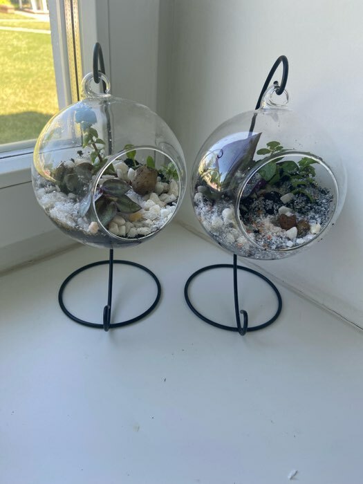 Фотография покупателя товара Флорариум «Цилиндр», на подвесе, 12×8 см, h=23 см, стекло, прозрачный, чёрный - Фото 7