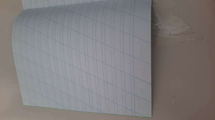 Фотография покупателя товара Тетрадь 12 листов косая линейка "Зелёная обложка", плотность 60 г/м2, белизна 92% - Фото 7